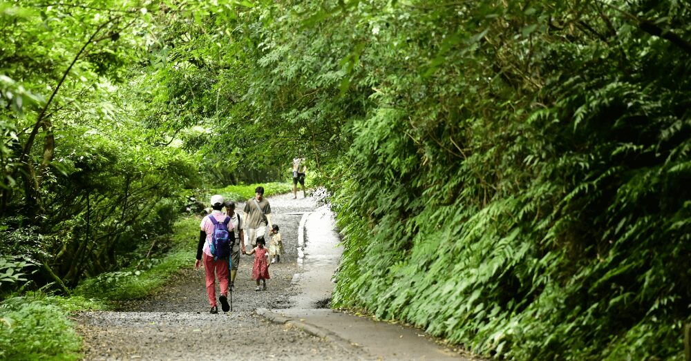 Leave No Trace Principles: How to Respect Nature on Every Adventure